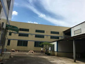 韶關(guān)市工業(yè)廠房驗(yàn)廠檢測(cè)鑒定報(bào)告辦理指南及行業(yè)動(dòng)態(tài)