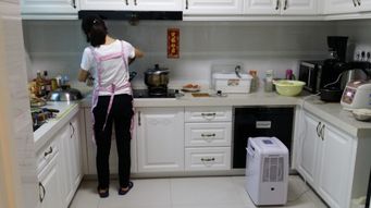 工業(yè)專用除濕與加濕設(shè)備 品牌制造商的選擇指南